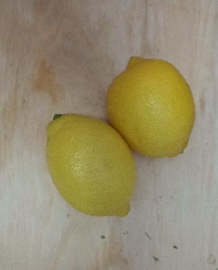 Kanarya Limon