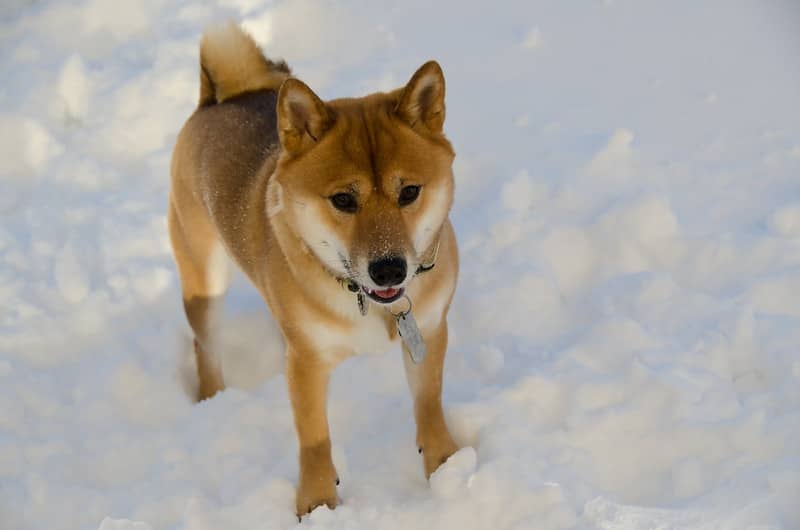 Hokkaido